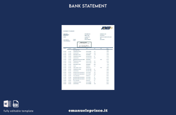 modello in parole dell'estratto conto bancario dello Zimbabwe NMB in stile verif